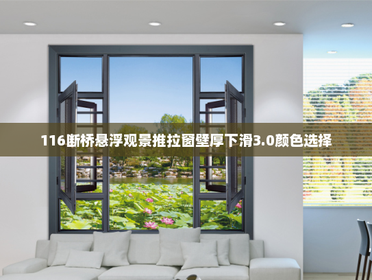 116断桥悬浮观景推拉窗壁厚下滑3.0颜色选择 116断桥悬浮观景推拉窗壁厚下滑3.0颜色选择